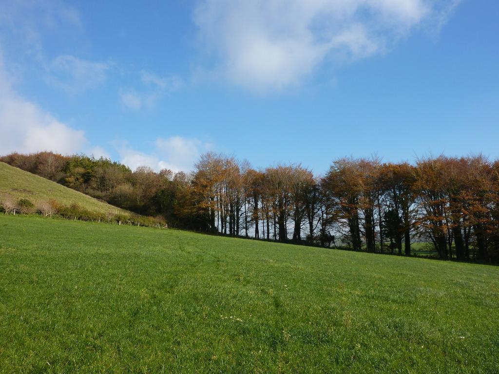Higher Melcombe Manor Ansty  Kültér fotó